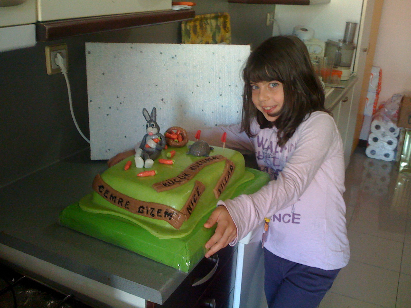 Ufuk Chef�s Party Cakes Ankara Butik pasta, Macaron, Cupcake, Kurabiye