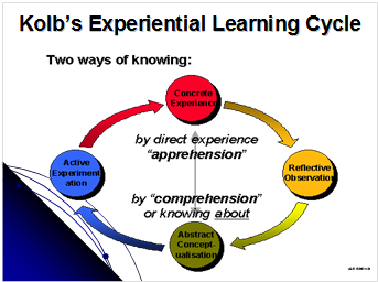 the learning cycle and learning styles of kolb and honey and mumford Honey and mumford, practical - their learning styles questionnaire and discussions david kolb's learning styles model and experiential learning theory (elt) styles (or preferences), which are based on a four-stage learning cycle (which. the learning cycle and learning styles of kolb and honey and mumford Honey and mumford, practical - their learning styles questionnaire and discussions david kolb's learning styles model and experiential learning theory (elt) styles (or preferences), which are based on a four-stage learning cycle (which.