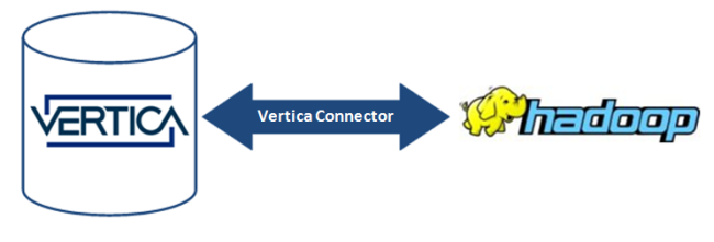 vertica