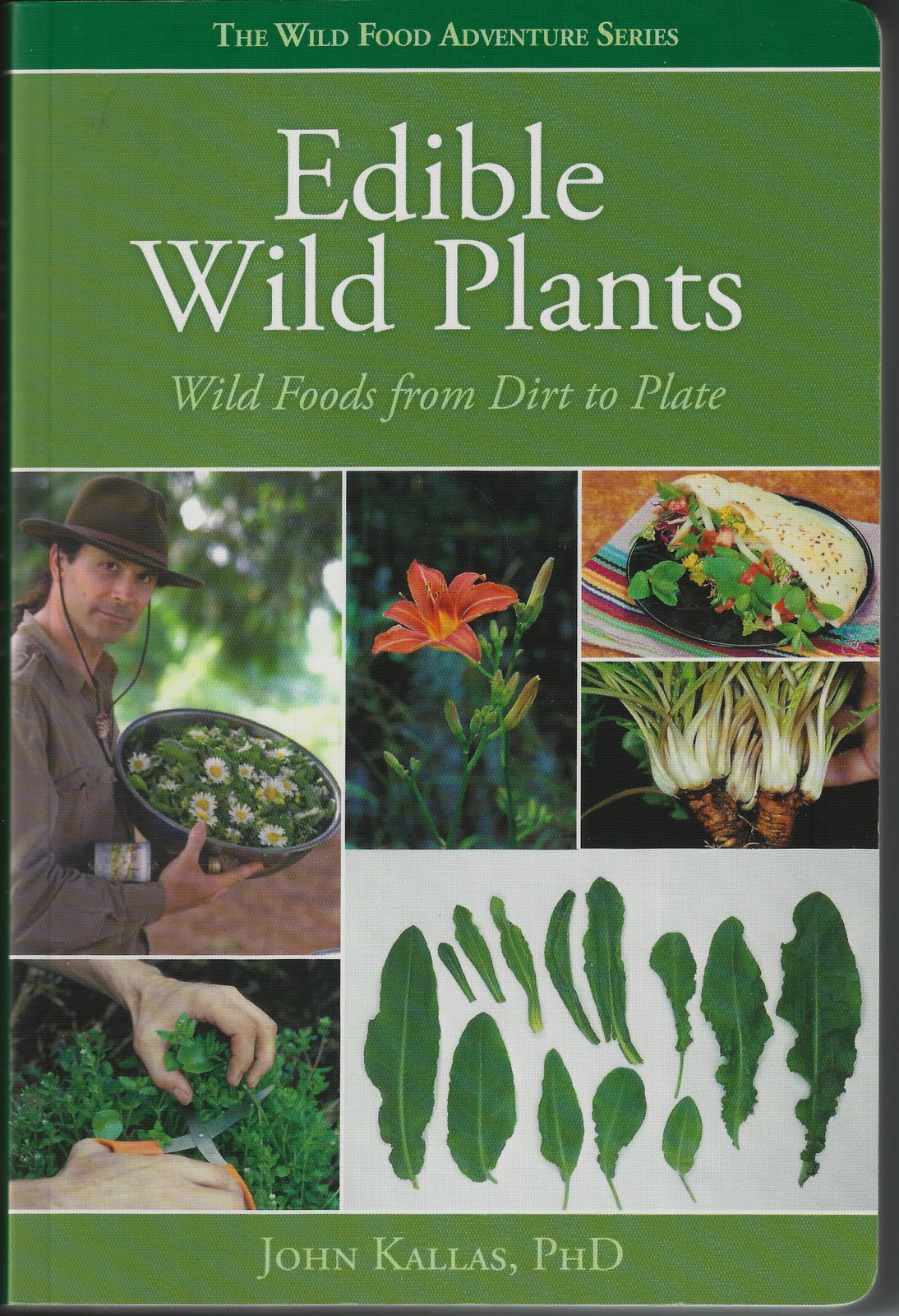 101100 Edible Wild Plants book