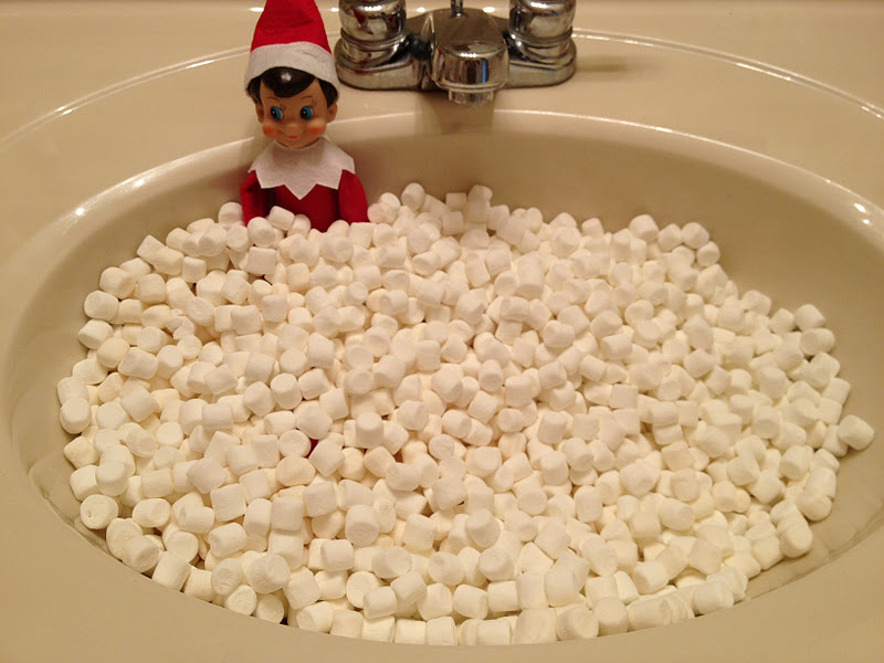 Real Life, Real Estate, Real Dana "How To" Tie Blanket & Mr. Jingles