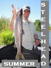 summer steelhead