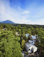 Daisen Unusual Natural House Design Wraps Around Trees Daisen Unusual Natural House Design Wraps Around Trees
