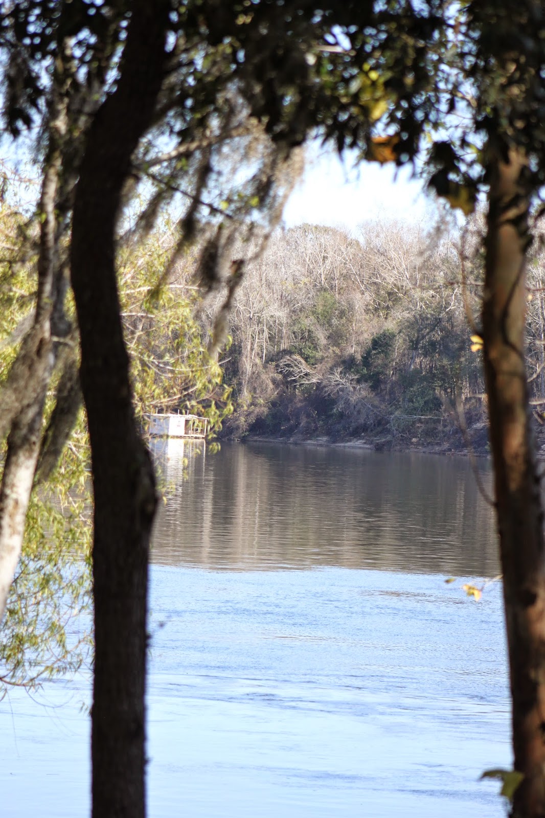 Life's a Trip 12/19/13 Blountstown, Florida