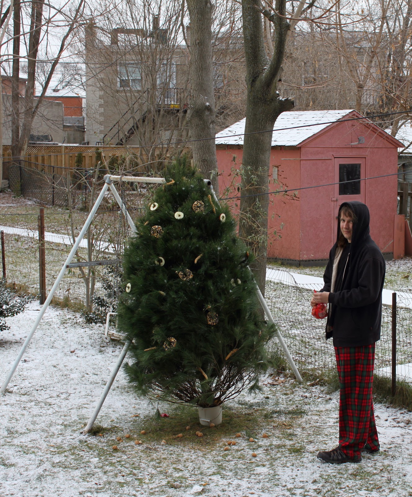 angie in t o the critter christmas tree angie in t o the critter christmas tree