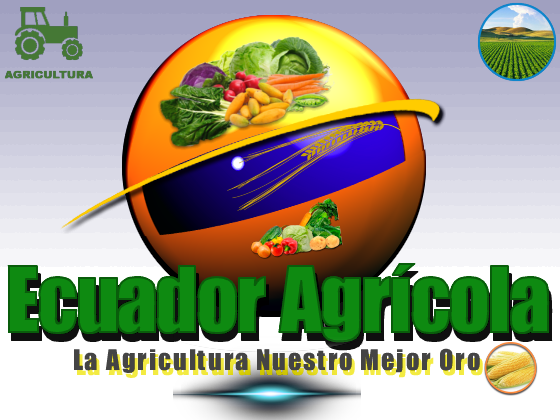 ECUADOR AGRICOLA