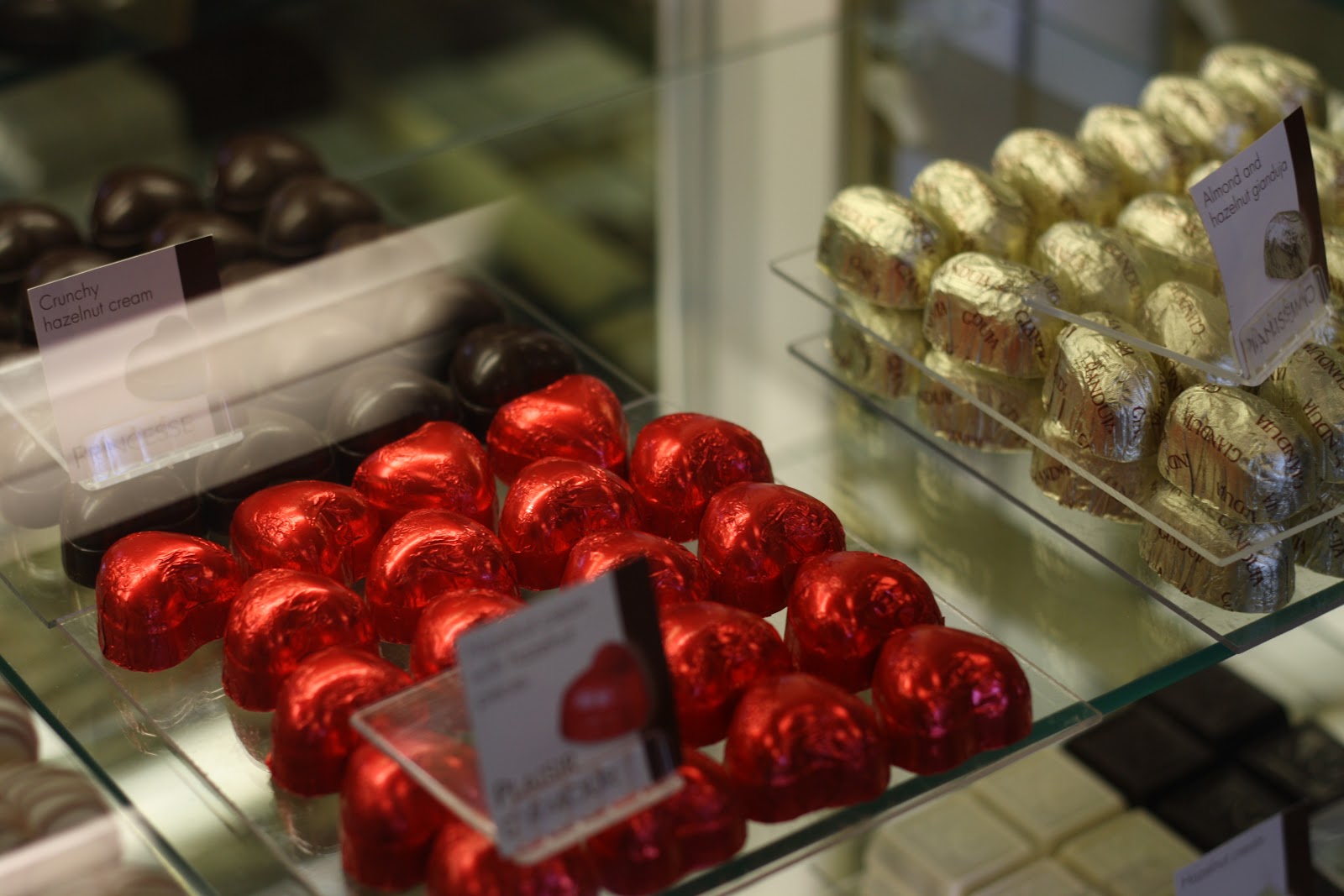 You Want Me to Cook? Chicago Chocolate Tour