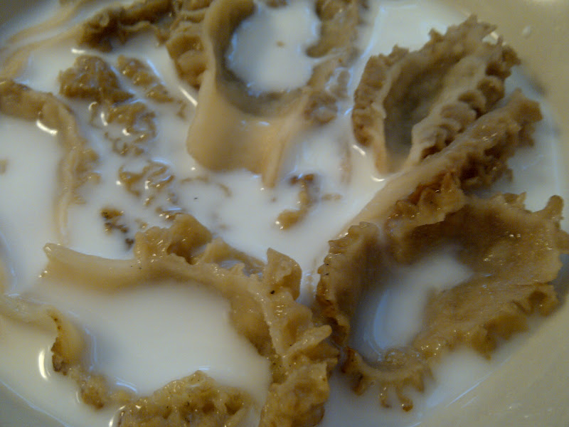 USASillyYaks Morel Mushrooms....gluten free food sent from Heaven