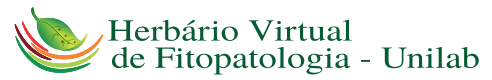 Herbário Virtual de Fitopatologia - Unilab