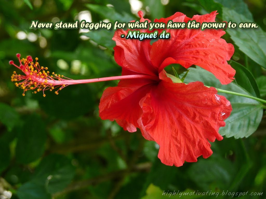http://4.bp.blogspot.com/-OasaUyVV38o/TwqykNOPpoI/AAAAAAAABC0/CuaxIVf_I60/s1600/power.jpg