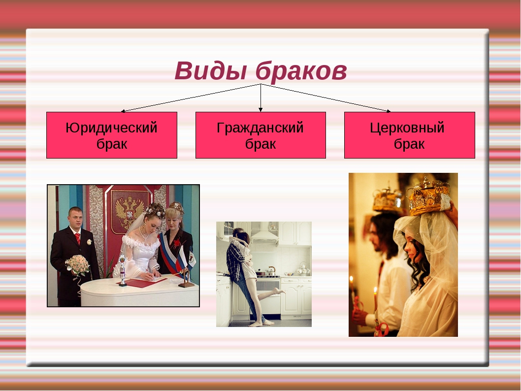 Хлидантус душистый посадка и уход Хлидантус душистый посадка и уход