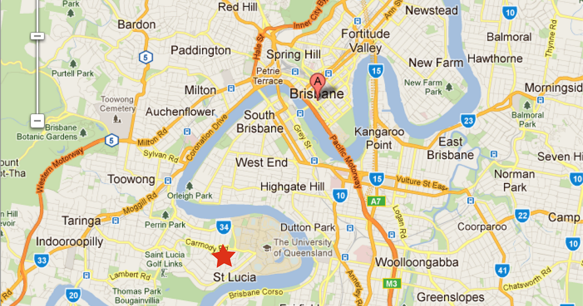 Brisbane Jacarandas Brisbane City Centre