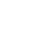 Društvo primorskih arhitektov