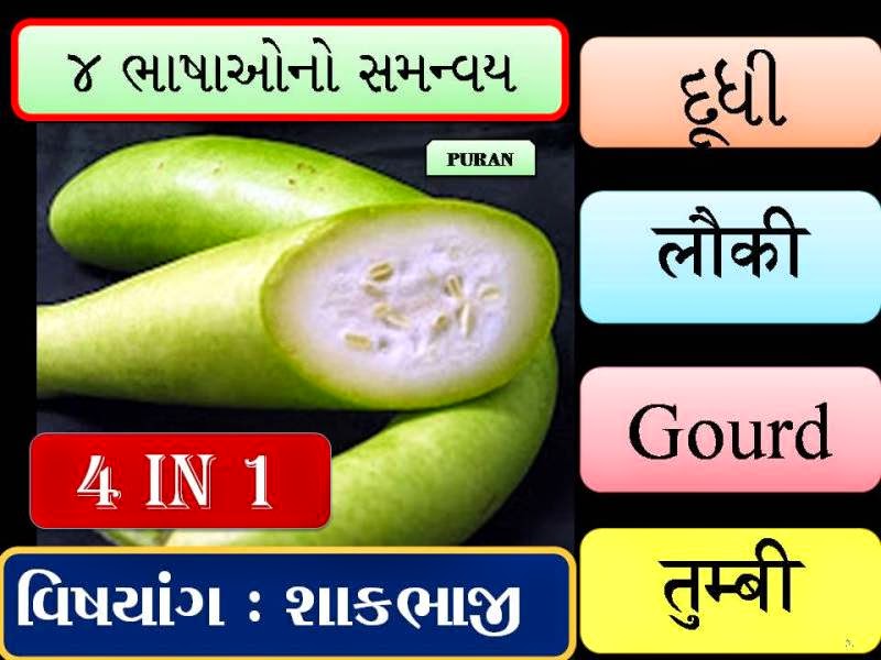 https://purangondaliya.files.wordpress.com/2014/09/24-vegetables-in-4-lang.pdf