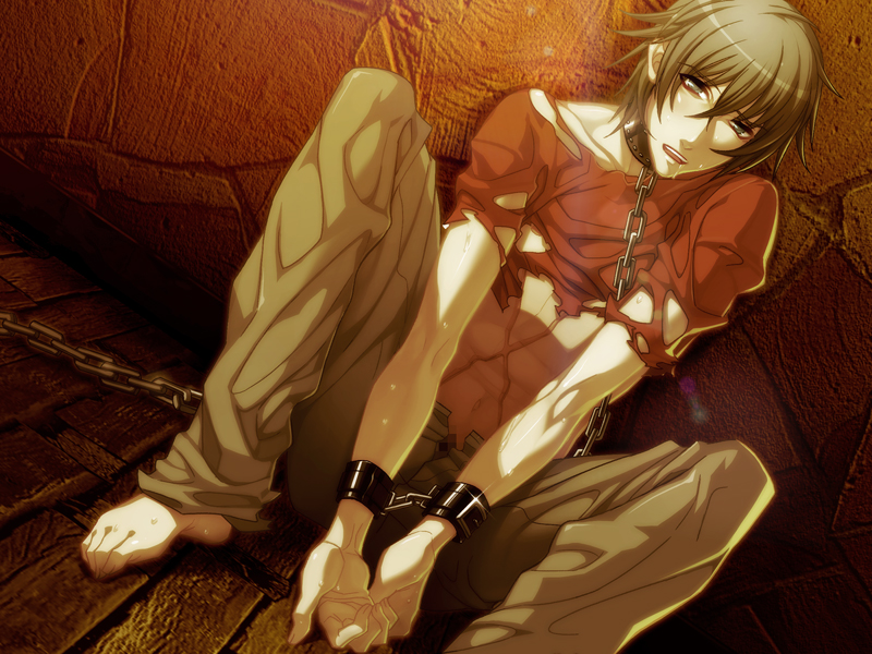 Download True Blood Tnc Arbitro S Ending For iPhone Free Wallpaper True Blood Tnc Arbitro S Ending For Free