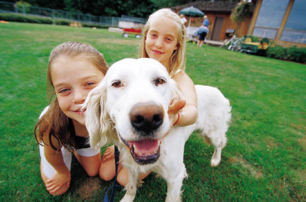 Pets Smart Pets Smart