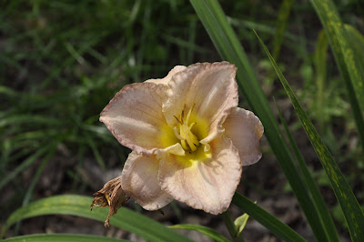_CSC0040.JPG