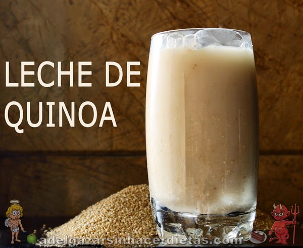 cuantas veces al dia puedo comer quinua cuantas veces al dia puedo comer quinua