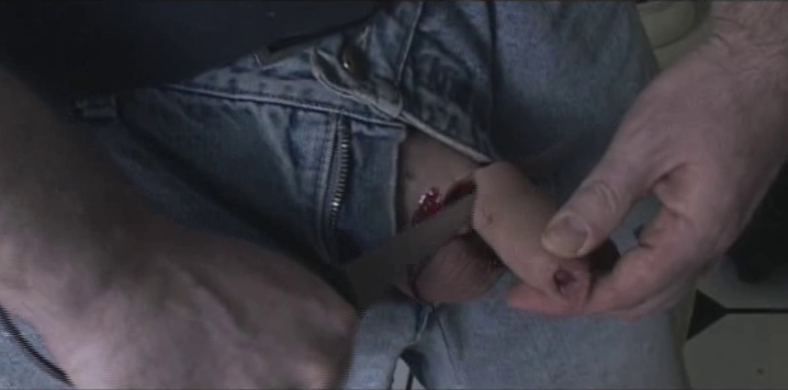 Jeremy Renner sex scenes