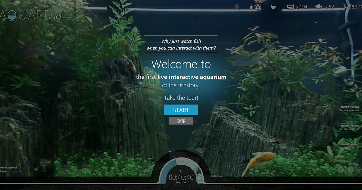 Aquard.io 線上多人互動實境水族箱一起用 Web App 養真魚