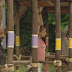 Survivor 2012 - 21 Mayıs 29. Bölüm Dokunulmazlık Oyunu İzle