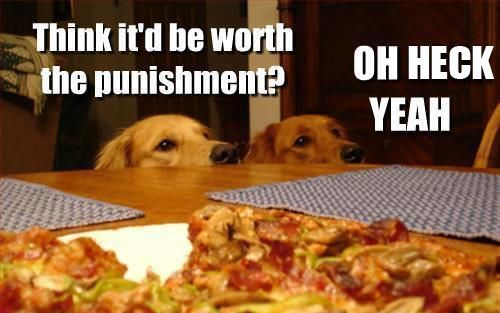 Punishment Quotes Funny