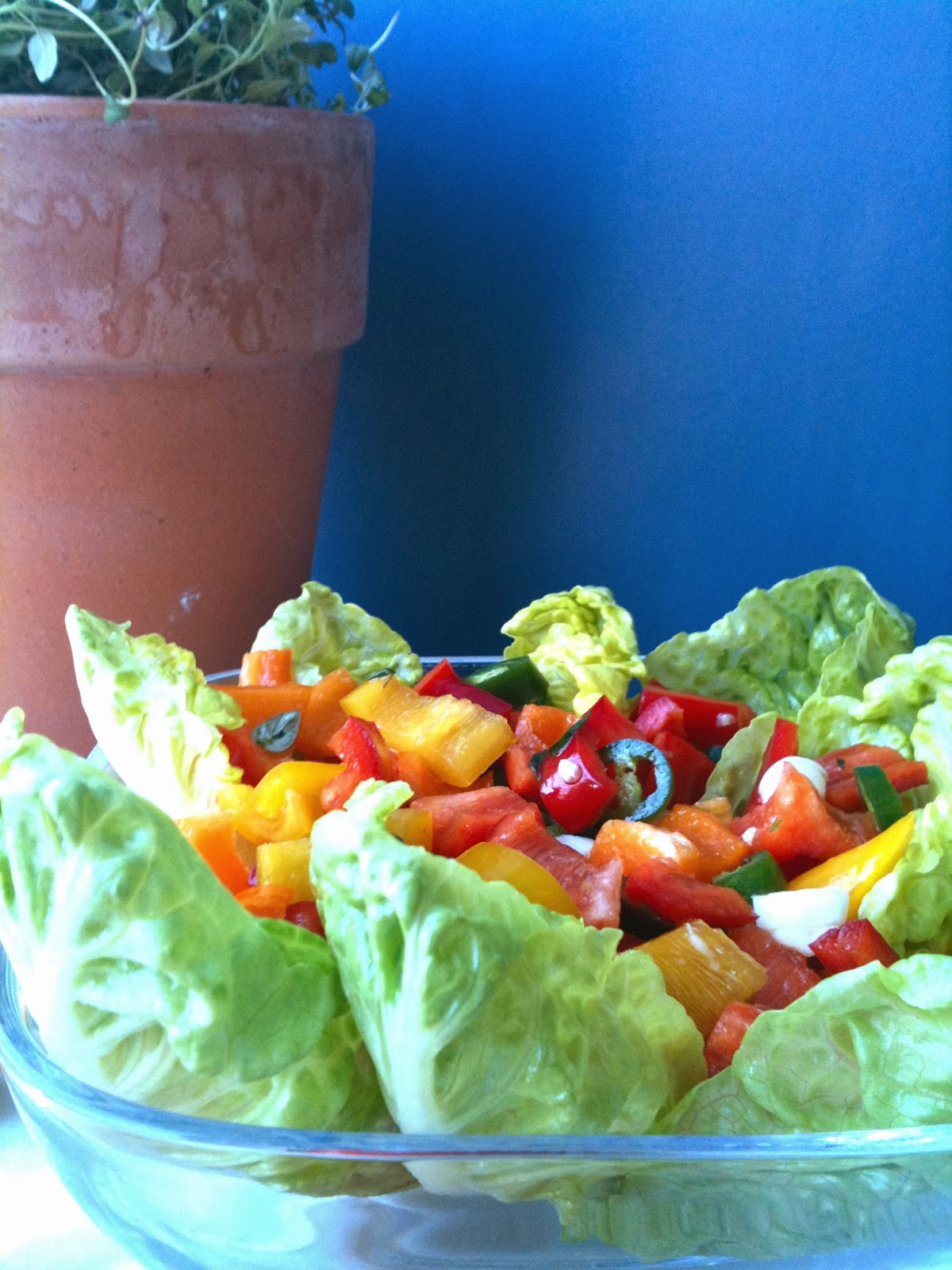 Passionately Raw! A Really Spicy Bell Pepper Salad