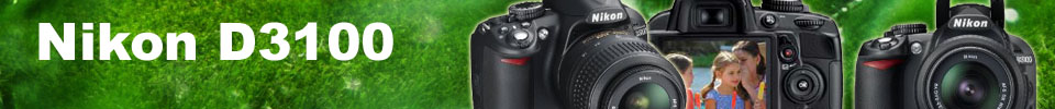 D3100 Review on Sale - Get the Nikon D3100 Best Buy
