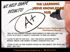 2015 - 2017 Learning Verve's student's result.