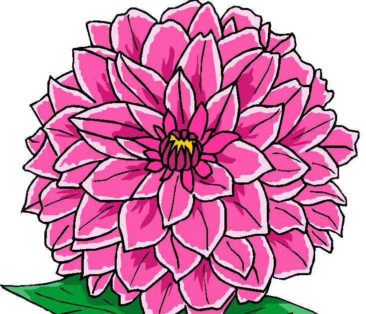 Dahlia Free Flower Clipart Free Microsoft Clipart