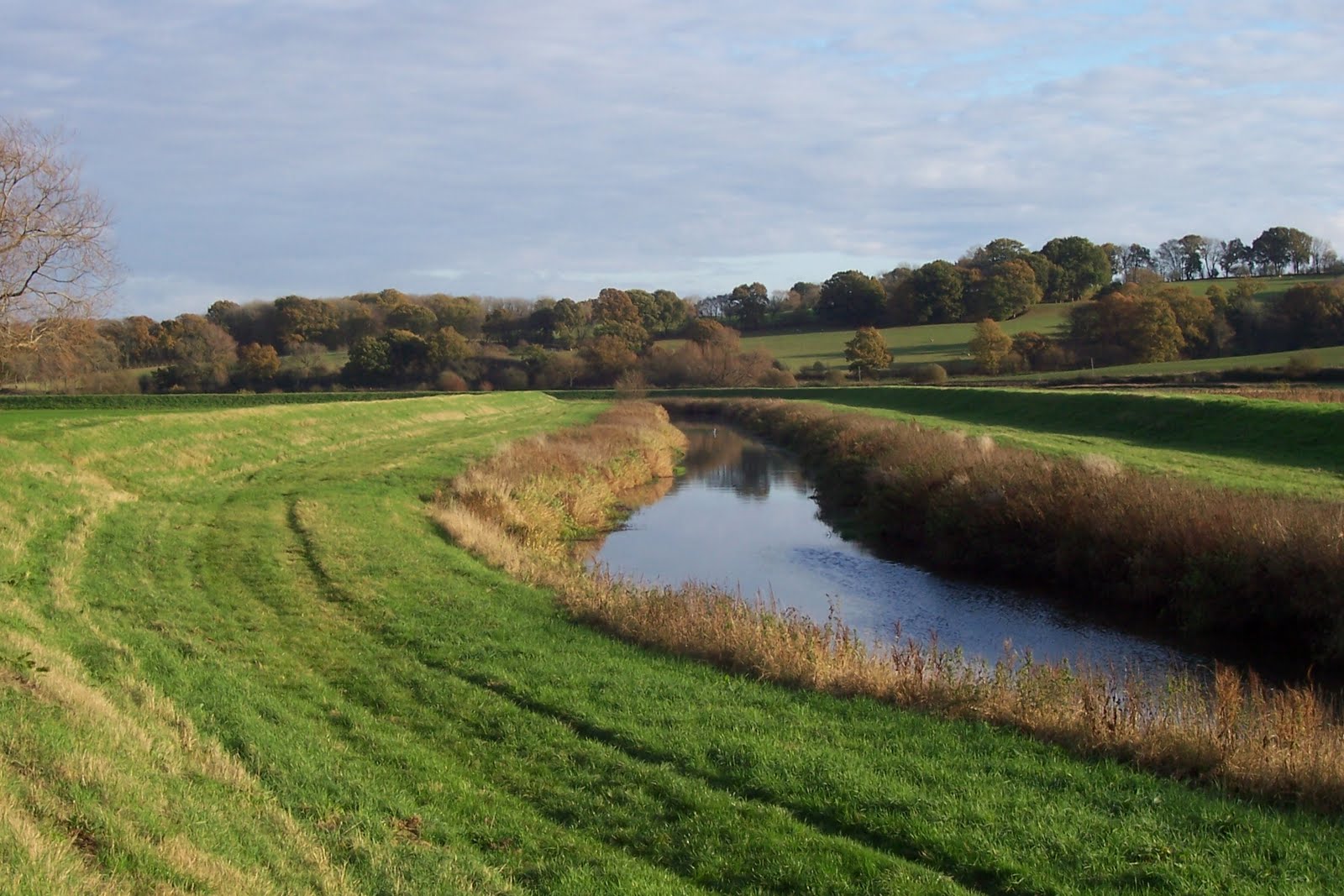 River Rother