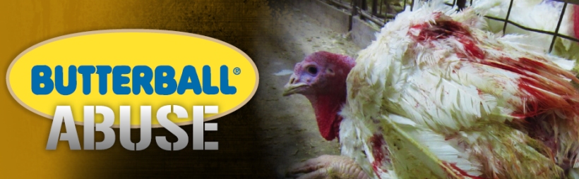 Recalled+ground+turkey+butterball