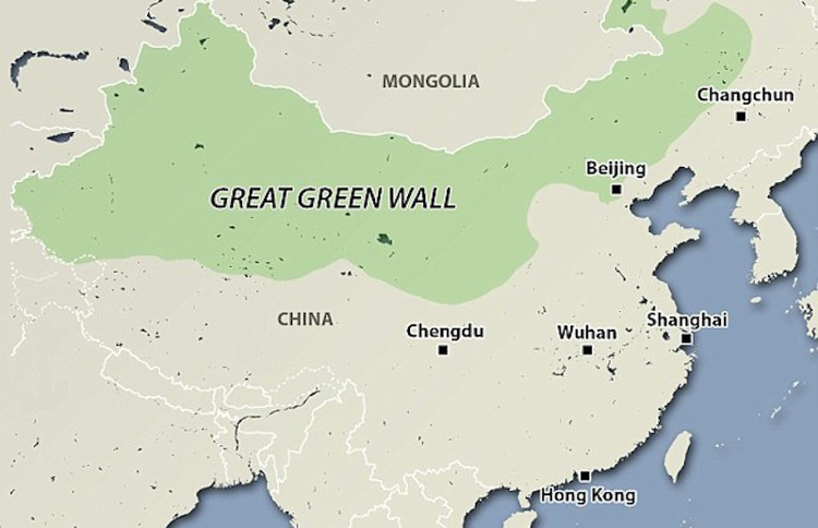 China Is Combating Desertification By Planting A Great Green Wall of Trees China Is Combating Desertification By Planting A Great Green Wall of Trees