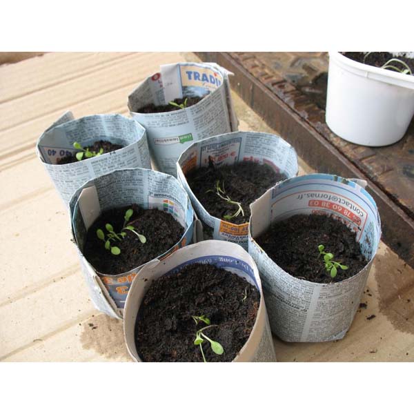 Le matériel nécessaire