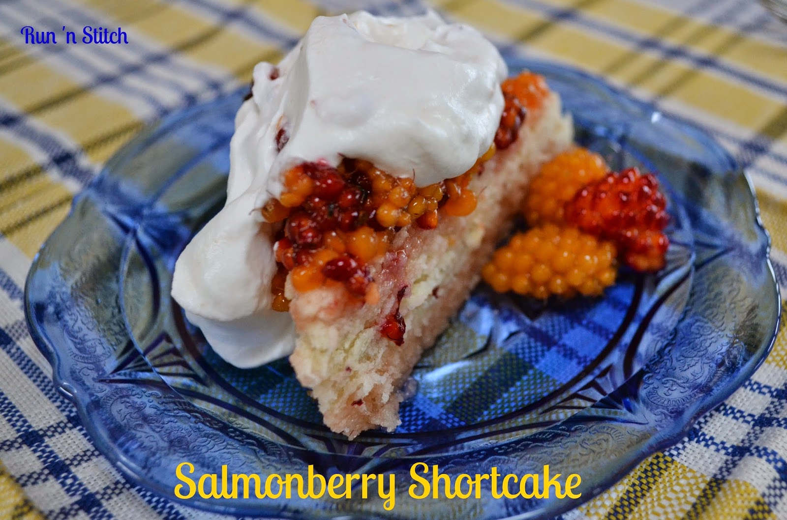 Run 'n Stitch Salmon Berry Shortcake
