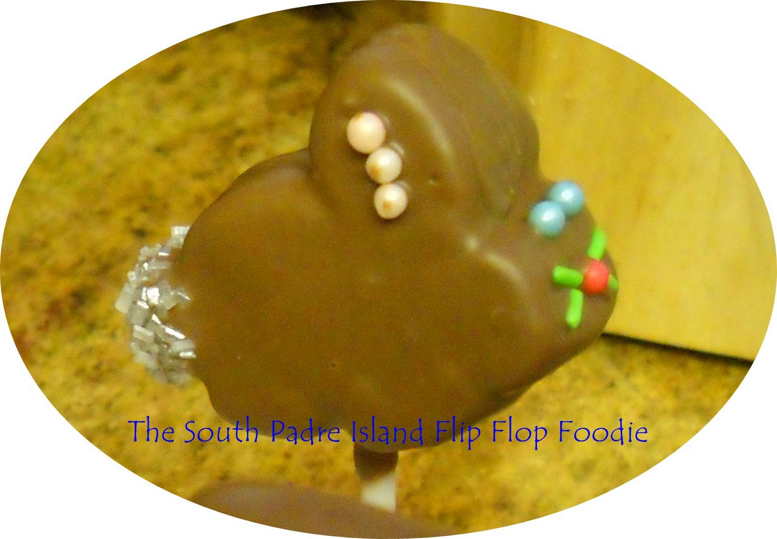 The South Padre Island Flip Flop Foodie CHOCOLATE DIPPED MARSHMALLOW