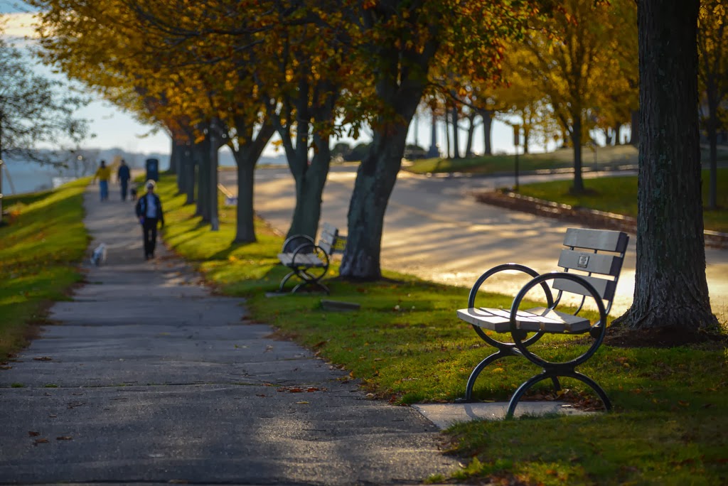 Corey Templeton Photography Walking the Eastern Prom