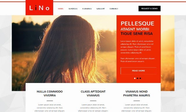 Lino - Multipurpose Muse Template