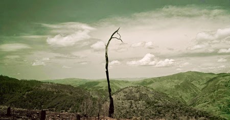 La fotografía documental de Darran Rees