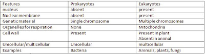 Chart Showing Differences Between Prokaryotic And Eukaryotic Cells