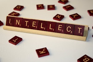 About Intellect