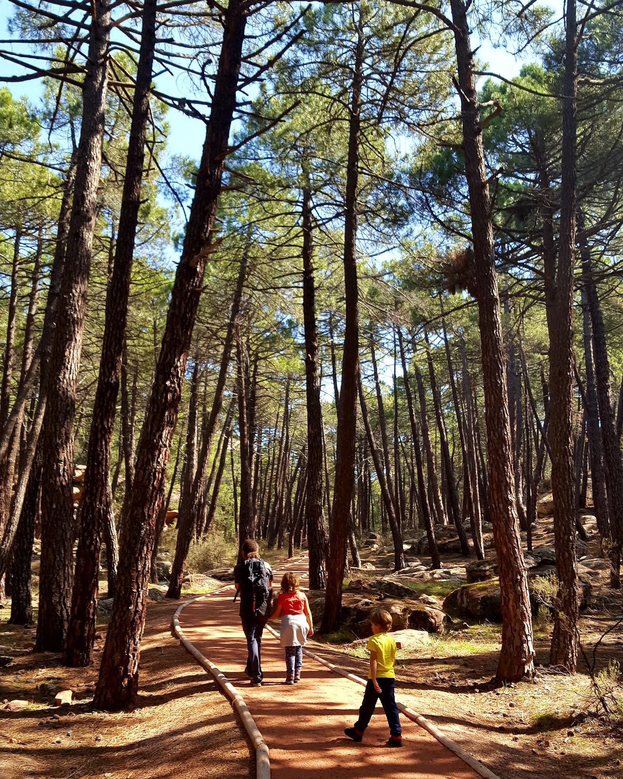 #SIERRA #ALBARRACÍN #TERUEL #ARAGON