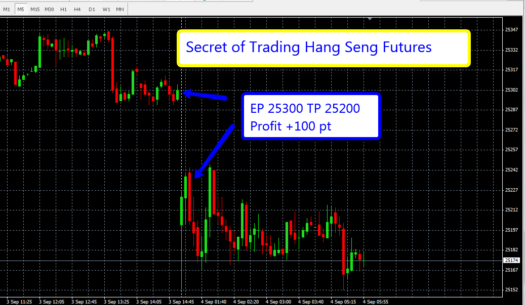 Hang seng index option trading