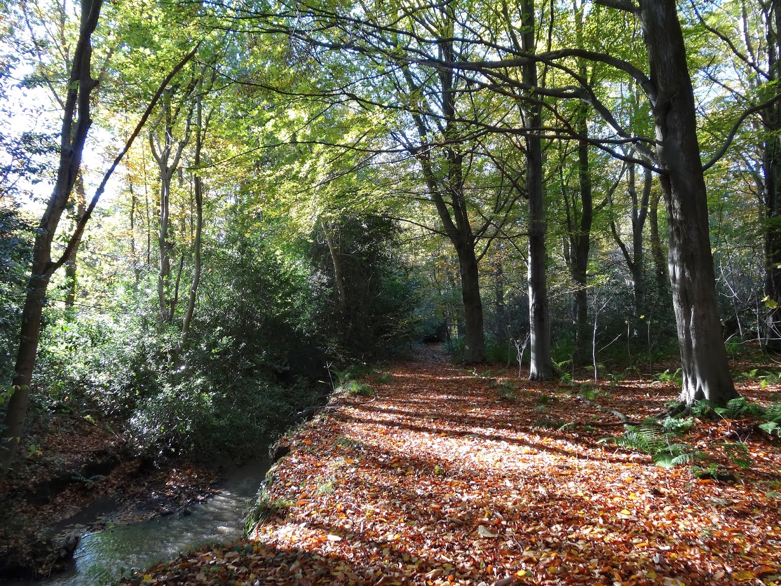 BikELove Scotland River Esk & Dalkeith Country Park