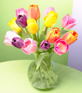 Tulipán, una flor con historia . florero con tulipanes