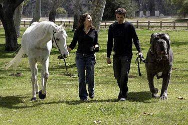 http://4.bp.blogspot.com/-OguLMLYsPE8/TZiNEmcfe_I/AAAAAAAAD4U/LH6T88OC-80/s1600/worlds_biggest_dog_sm.jpg