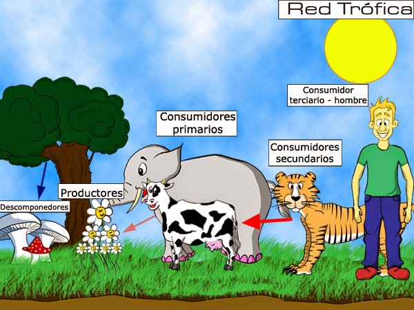 cadenas y redes alimenticias del desierto la pandilla de b nuestros amigos los animales cadenas y redes alimenticias del desierto la pandilla de b nuestros amigos los animales