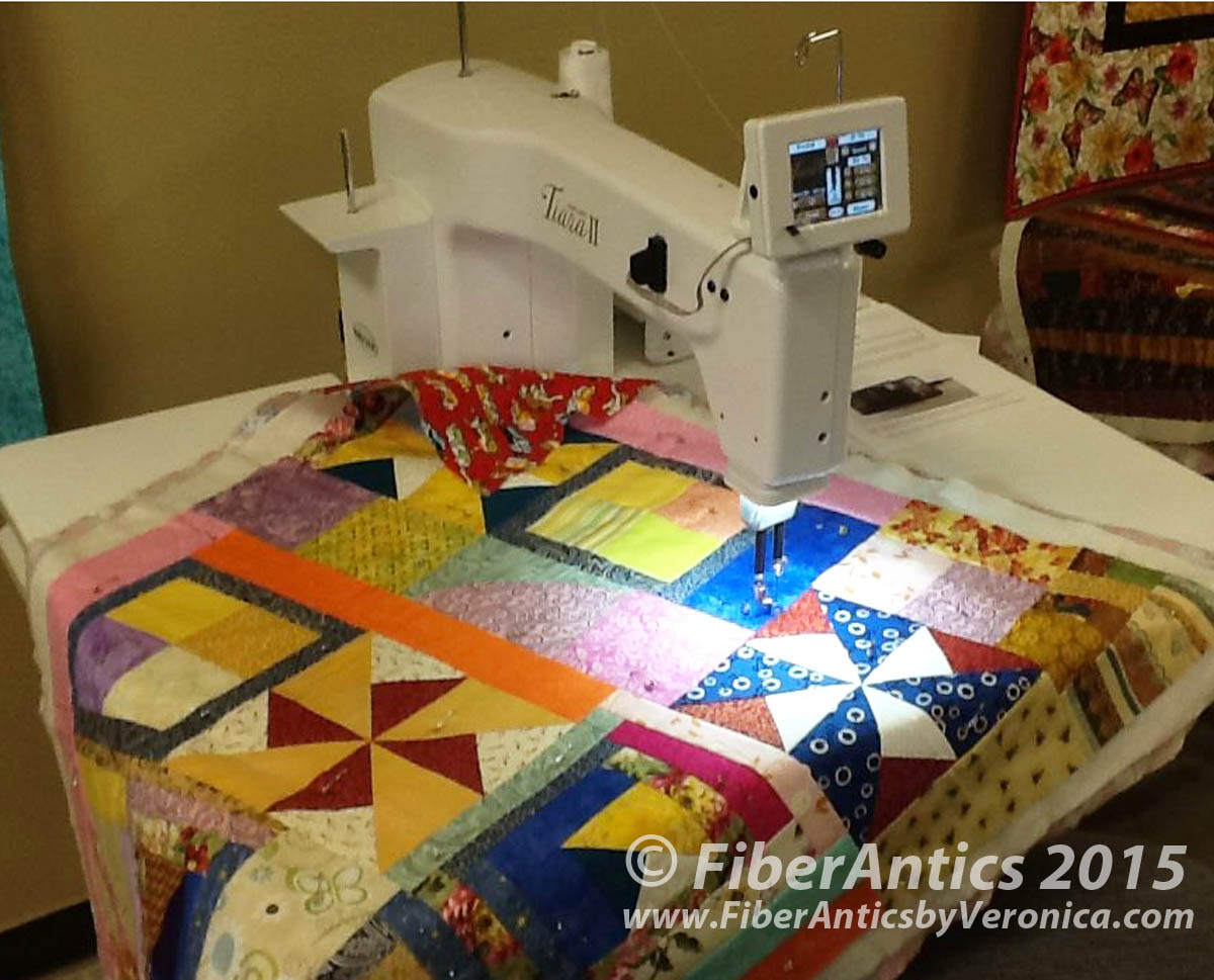 Fun with Free Motion Quilting - 1 Hour Guild Video Presentation