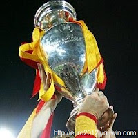 Euro 2008 Spain Cup