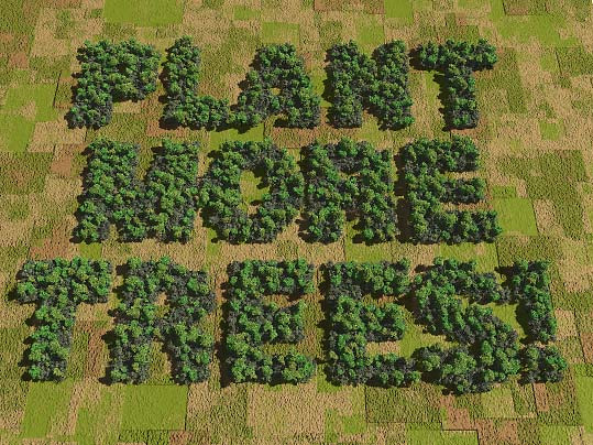 plant more trees Trees combat global warming by absorbing carbon dioxide and producing oxygen, contribute to soil health, retain water, and cool overheated urban areas the earth needs more. plant more trees Trees combat global warming by absorbing carbon dioxide and producing oxygen, contribute to soil health, retain water, and cool overheated urban areas the earth needs more.
